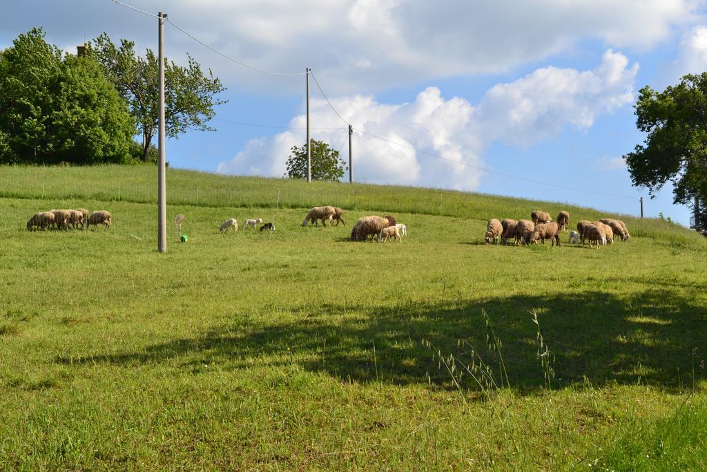 Agriturismo Montorso Monte Rinaldo エクステリア 写真